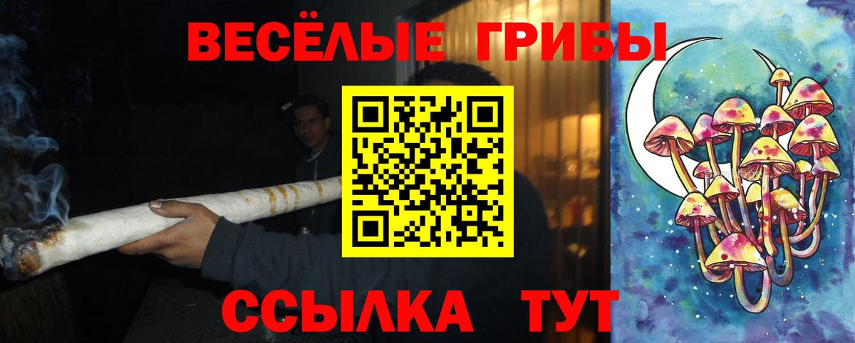 Псилоцибиновые грибы ЛСД Каменск-Уральский